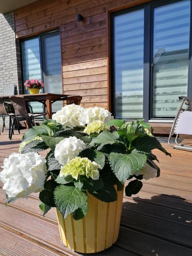 Geltoni Apartamentai Palanga Extérieur photo