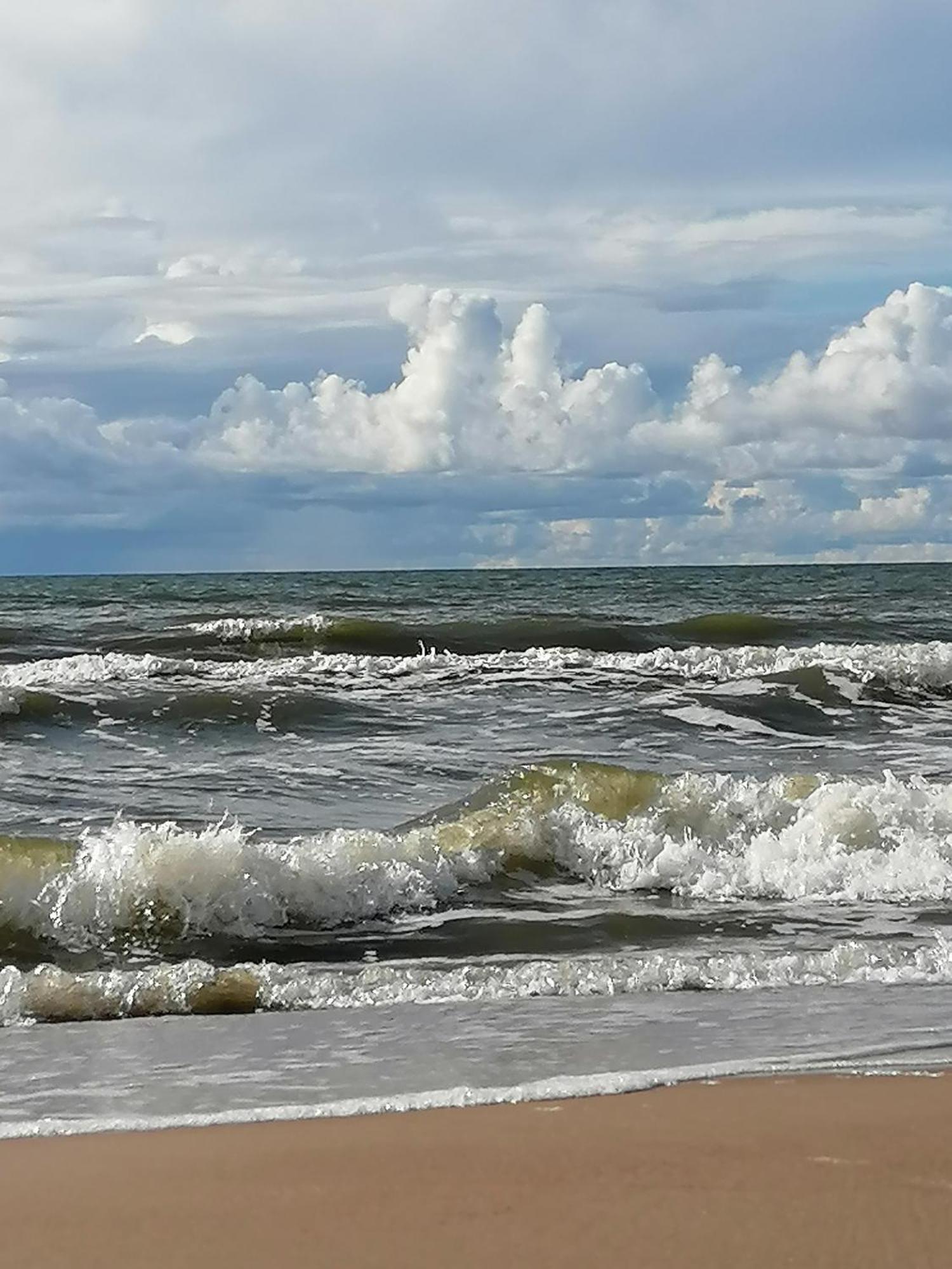 Geltoni Apartamentai Palanga Extérieur photo